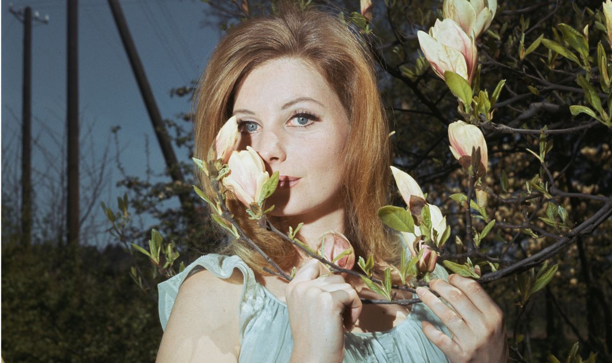 1413602212, Catherine Schell