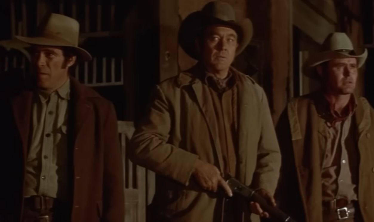 Screenshot from The Train Robbers, Warner Bros. (1973)