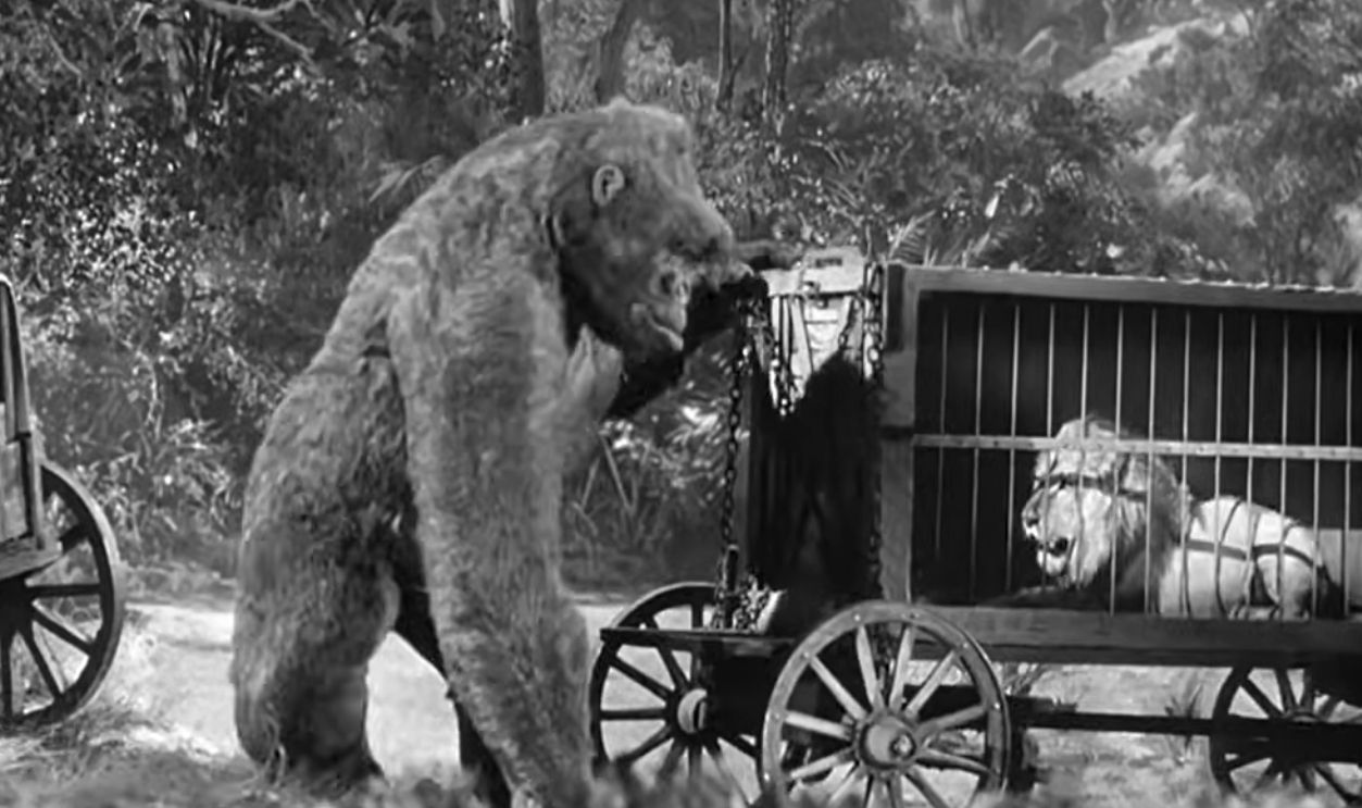 Screenshot from Mighty Joe Young, RKO Radio Pictures (1949)