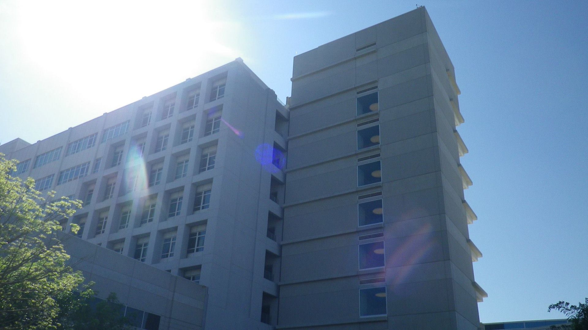 The picture was taken with a Pentax Optio RZ10 camera. 
Taken on March 28, 2015.