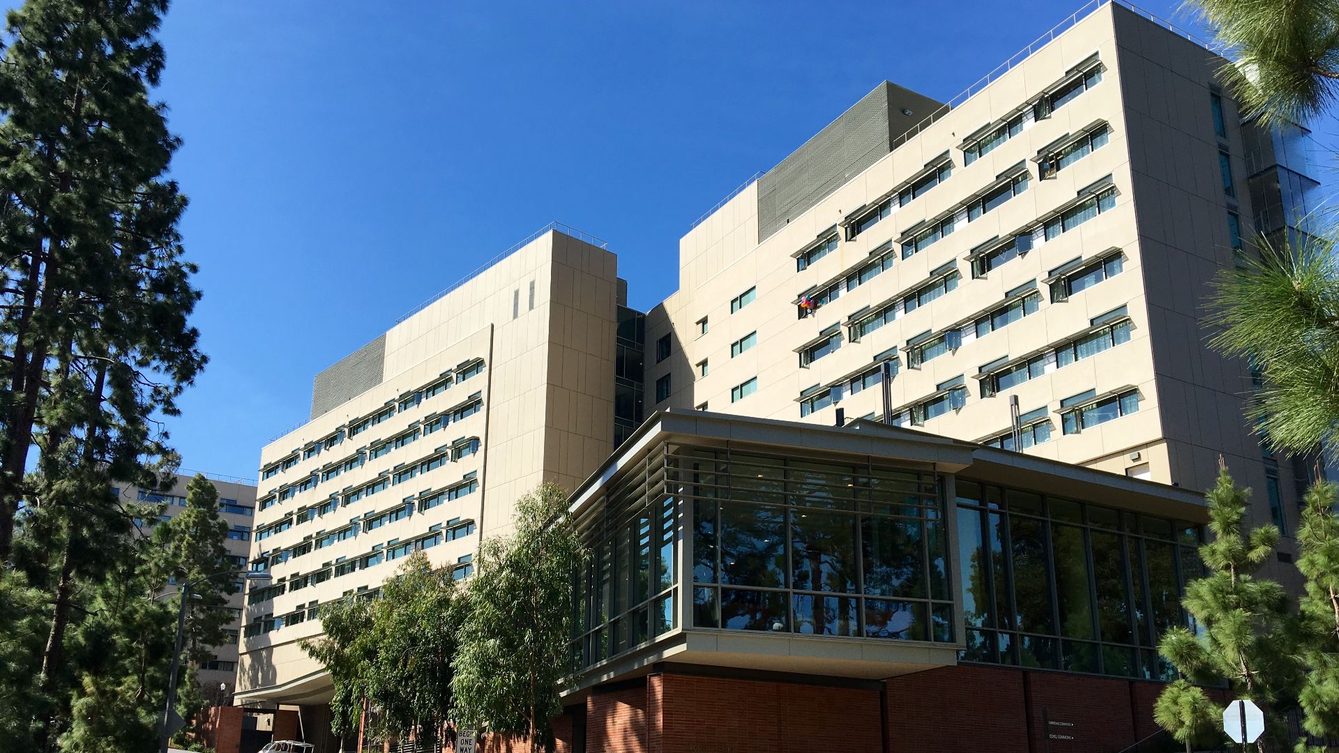 Carnesale Commons