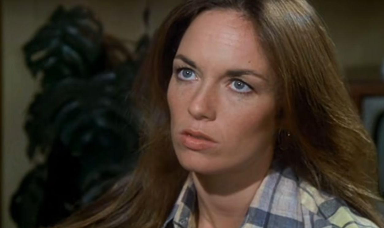 Screenshot from The Dukes of Hazzard (1979-1985)