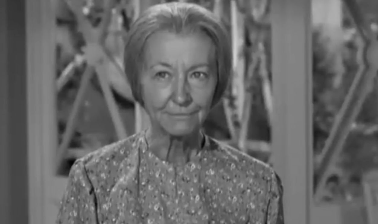 Screenshot from The Beverly Hillbillies (1962-1971)
