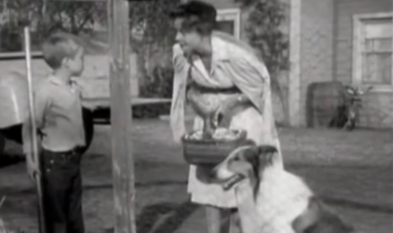 Screenshot from Lassie, CBS (1954–1971); First-run Syndication (1971–1973)