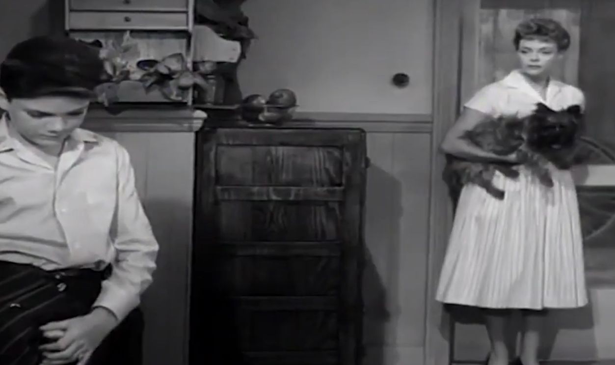 Screenshot from Lassie, CBS (1954–1971); First-run Syndication (1971–1973)