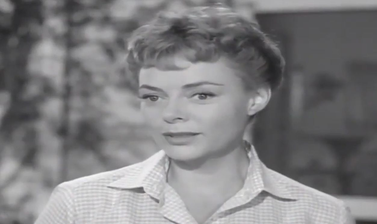 Screenshot from Lassie, CBS (1954–1971); First-run Syndication (1971–1973)