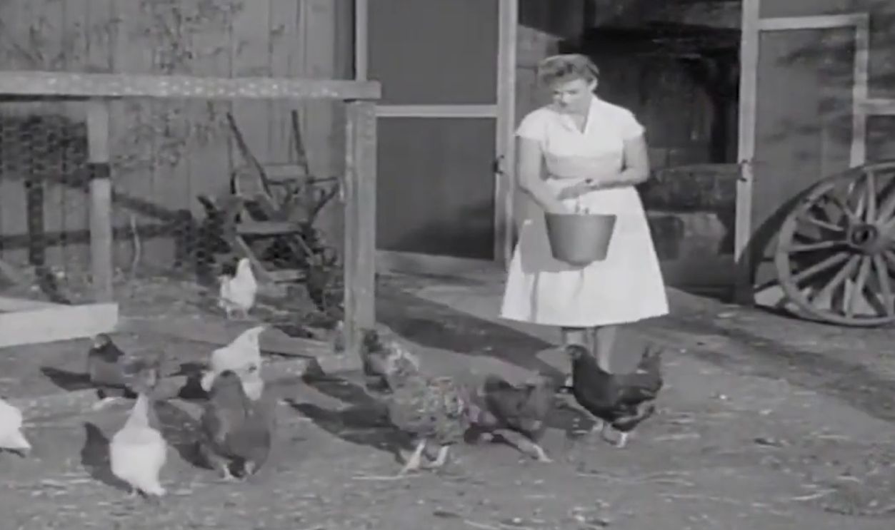 Screenshot from Lassie, CBS (1954–1971); First-run Syndication (1971–1973)
