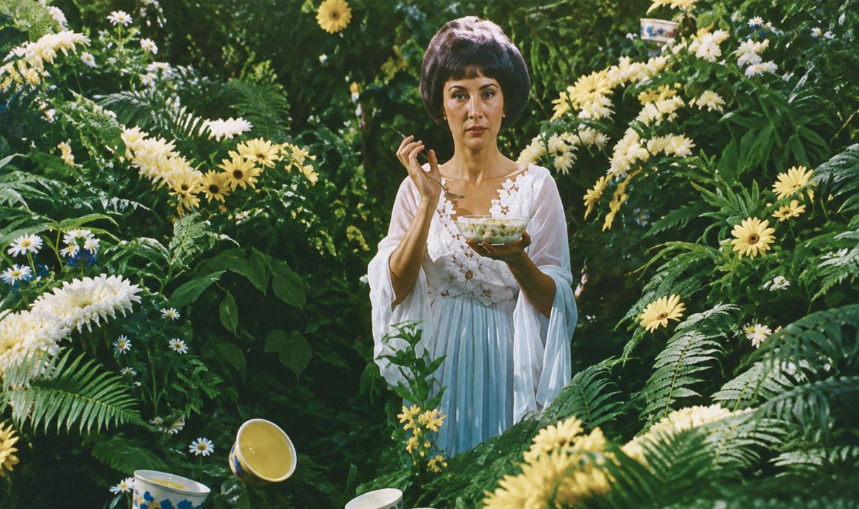 Screenshot from Chiffon 'It's Not Nice To Fool Mother Nature!' Commercial (1974) 