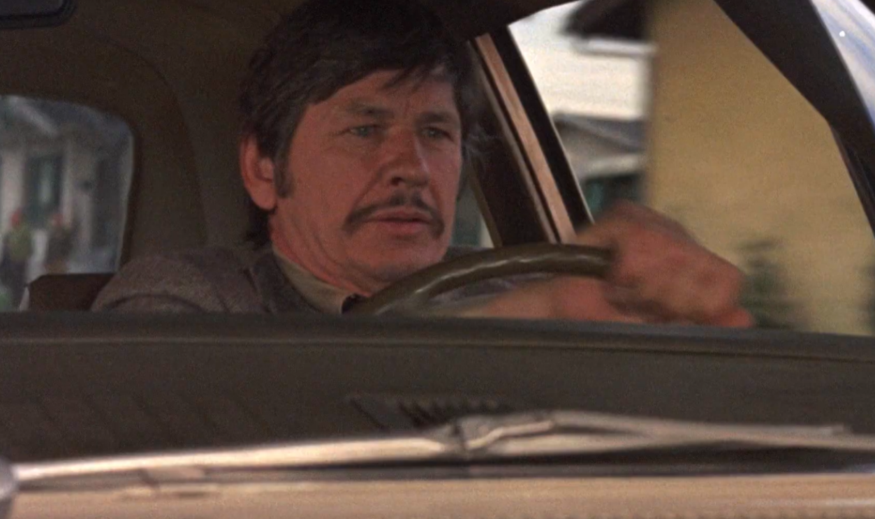 Screenshot from The Stone Killer, Columbia Pictures (1973)