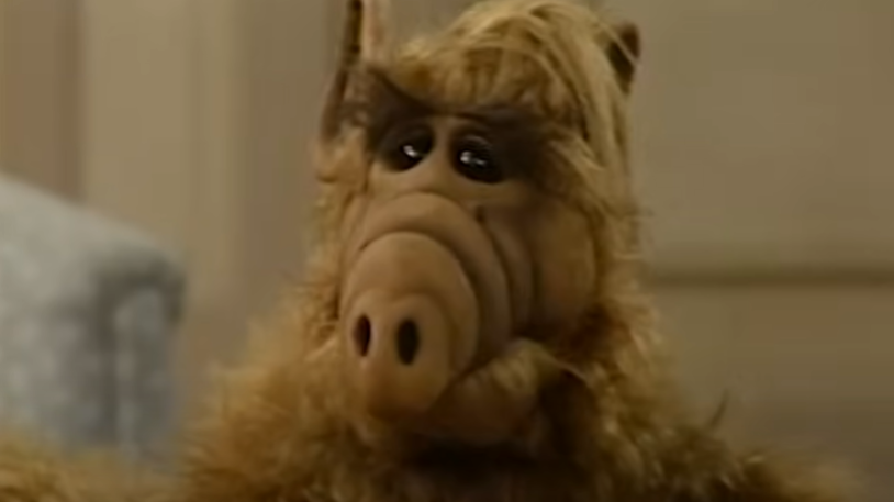 Screenshot of the TV Show ALF