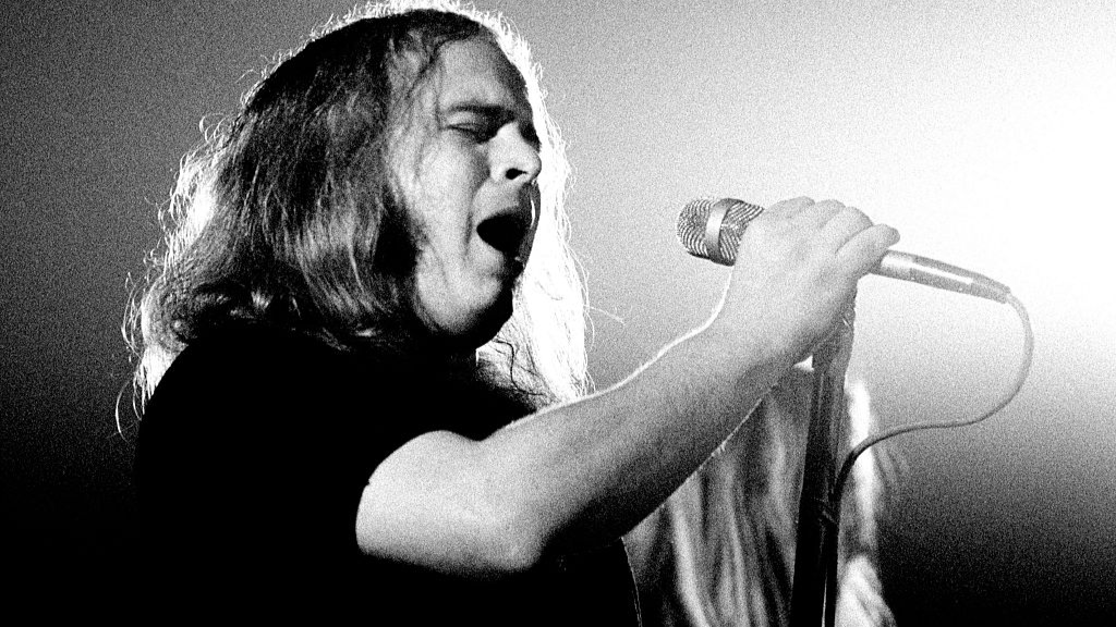 Ronnie Van Zant of Lynyrd Skynyrd performs on stage in Amsterdam