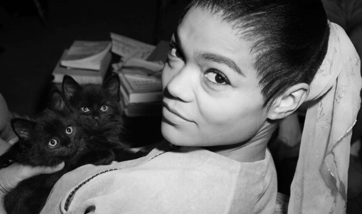 30th May 1956: American singer Eartha Kitt at the Mayfair Hotel, London, with her cats 'Mishak' and 'Willow'.