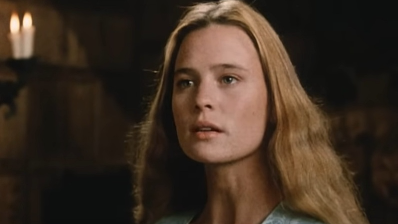 A visually captivating still taken from a pivotal moment in the film The Princess Bride (1987)