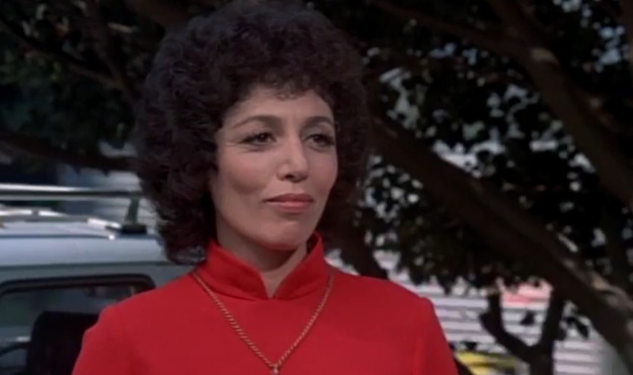 Screenshot from McMillan & Wife (1971-1977)