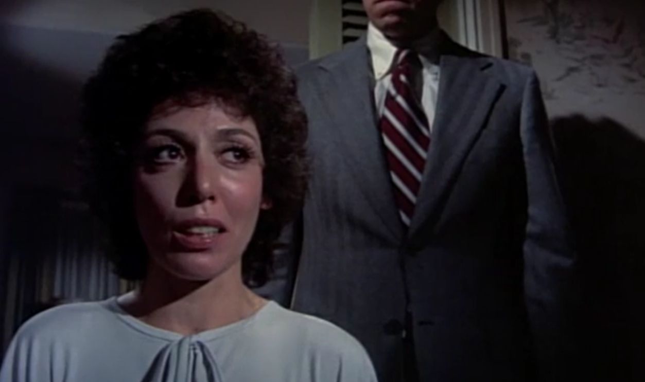 Screenshot from McMillan & Wife (1971-1977)