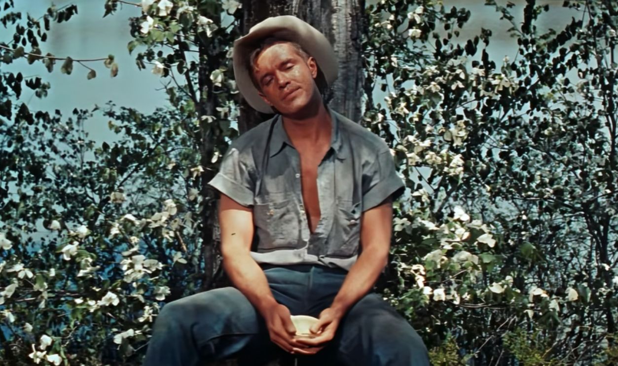 creenshot from Home from the Hill (1960)