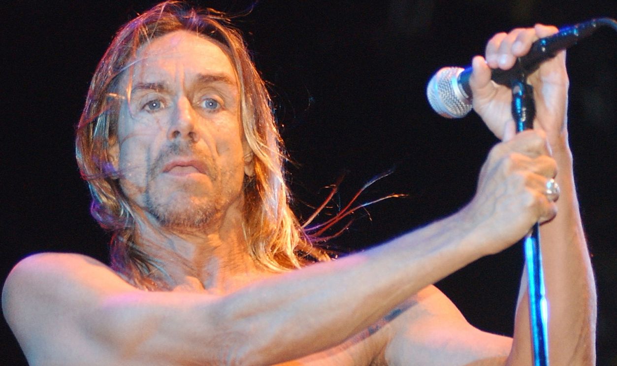 Iggy Pop and the Stooges 2079371