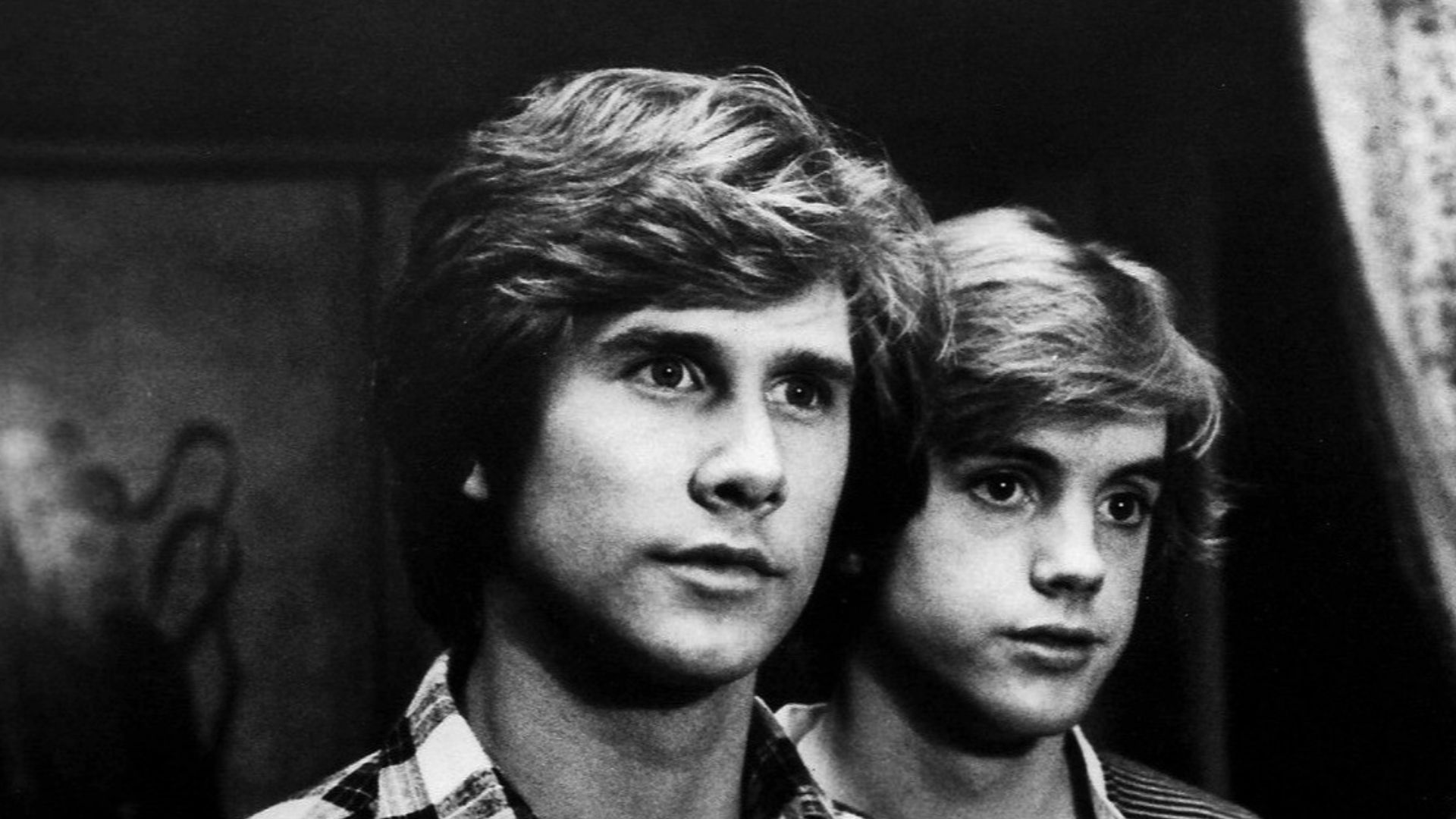 Photo of Parker Stevenson (left) and Shaun Cassidy (right) as the Hardy Boys from the television series.