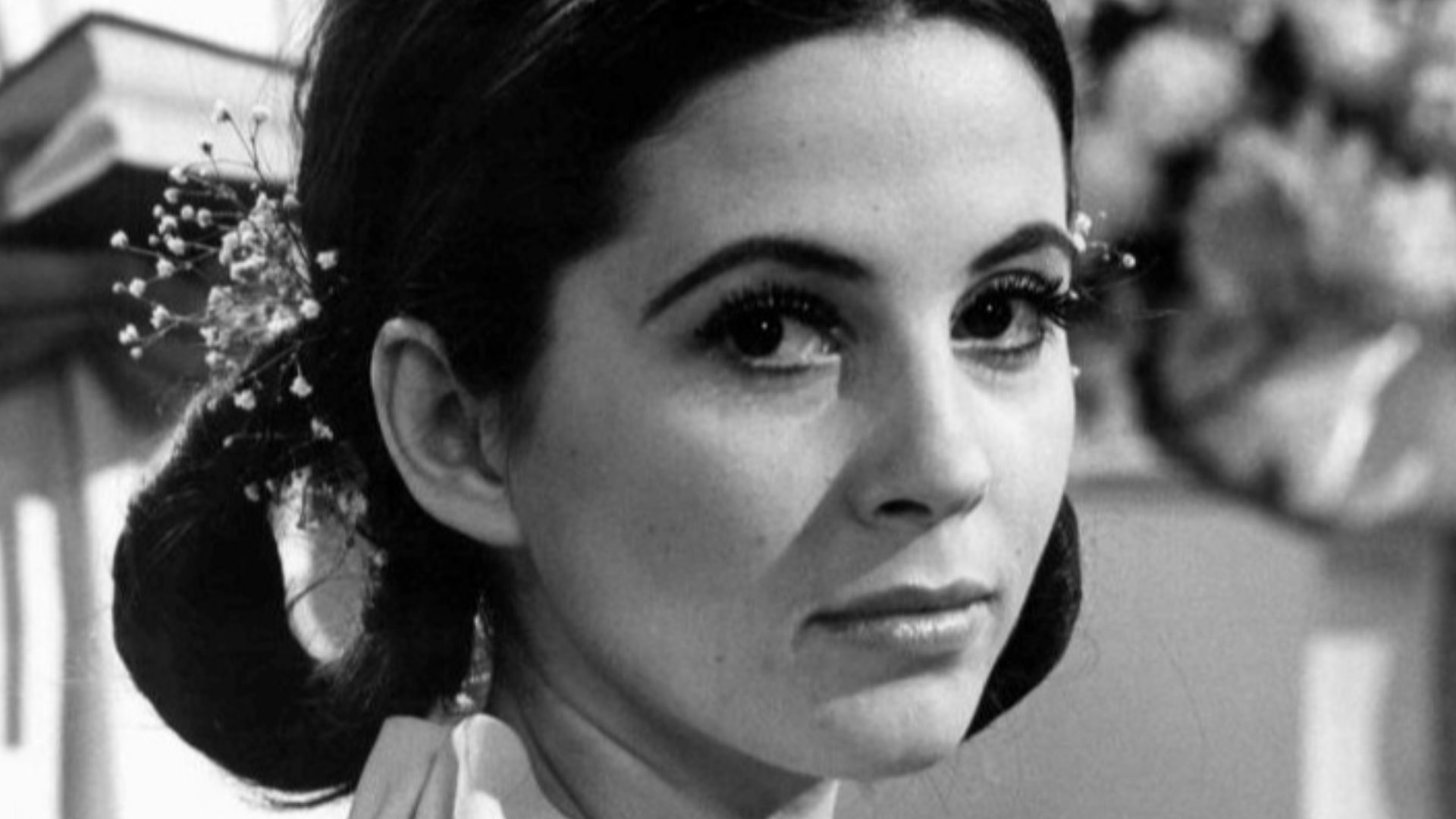 Publicity photo of Barbara Parkins from the television program Peyton Place.  Parkins played