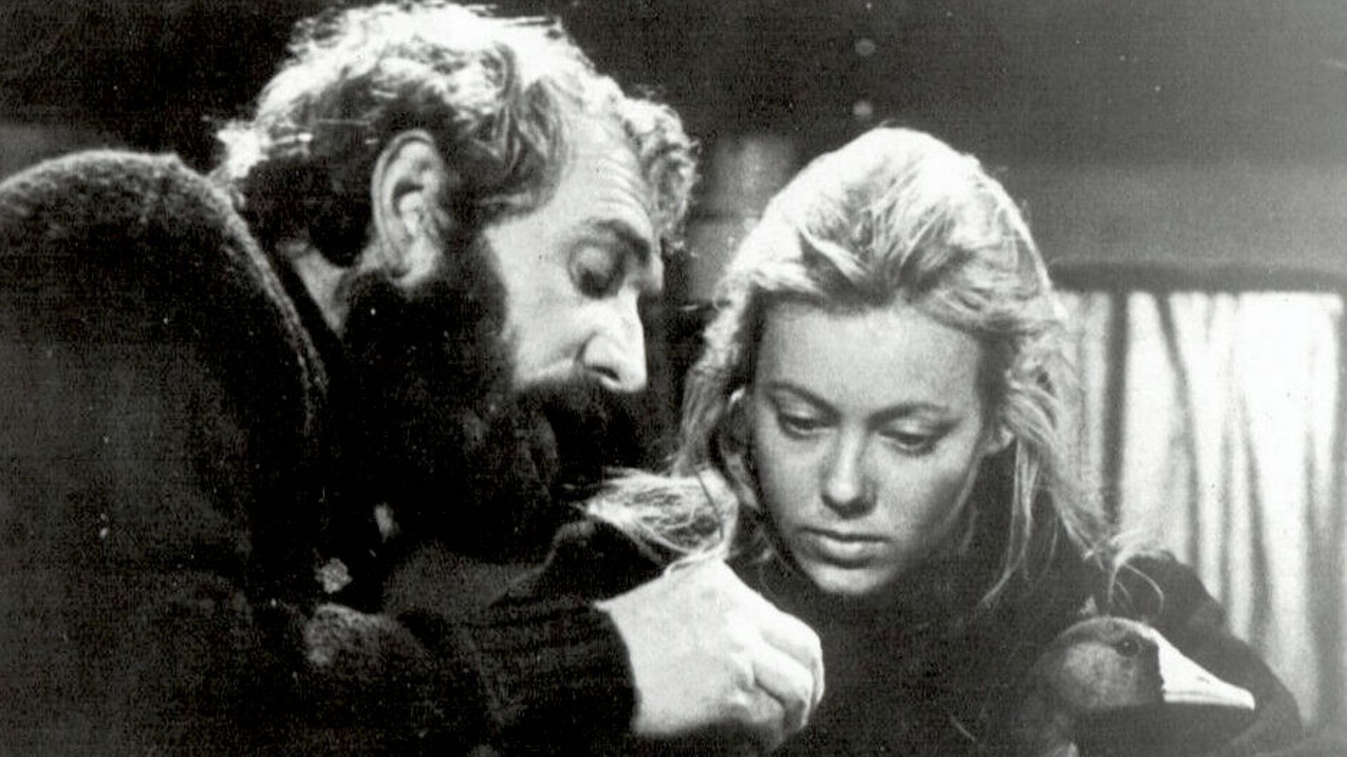 Richard Harris and Jenny Agutter in The Snow Goose (1971) publicity photo for PBS