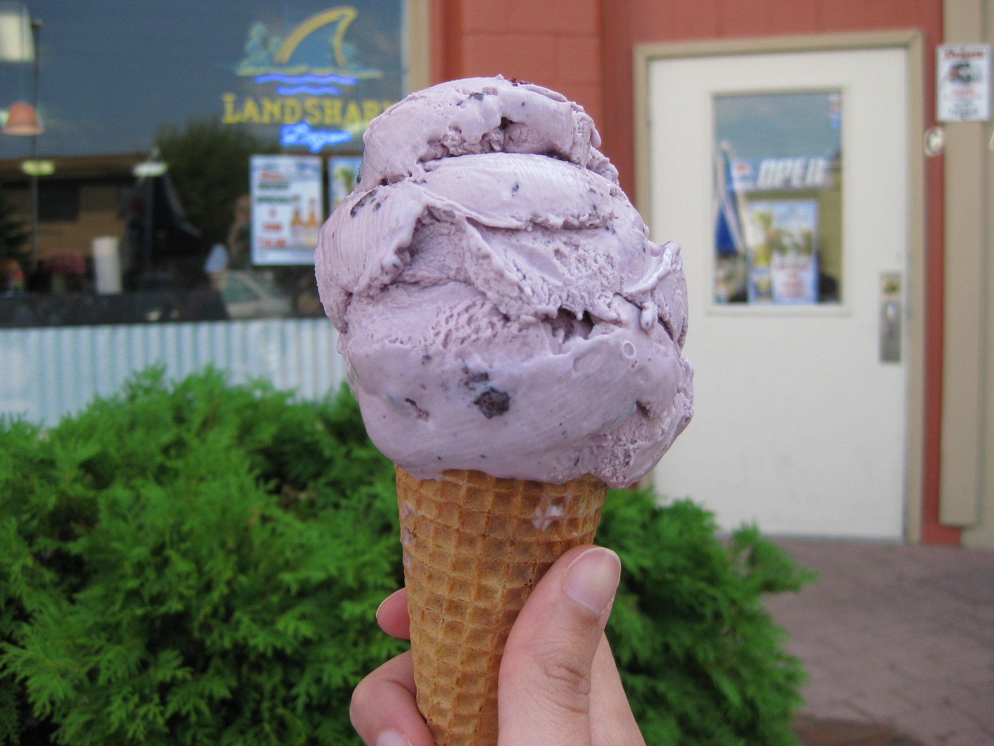 huckleberry ice cream