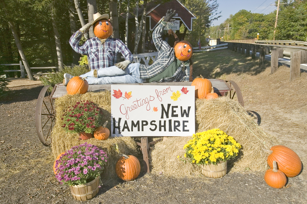 New Hampshire pumpkin