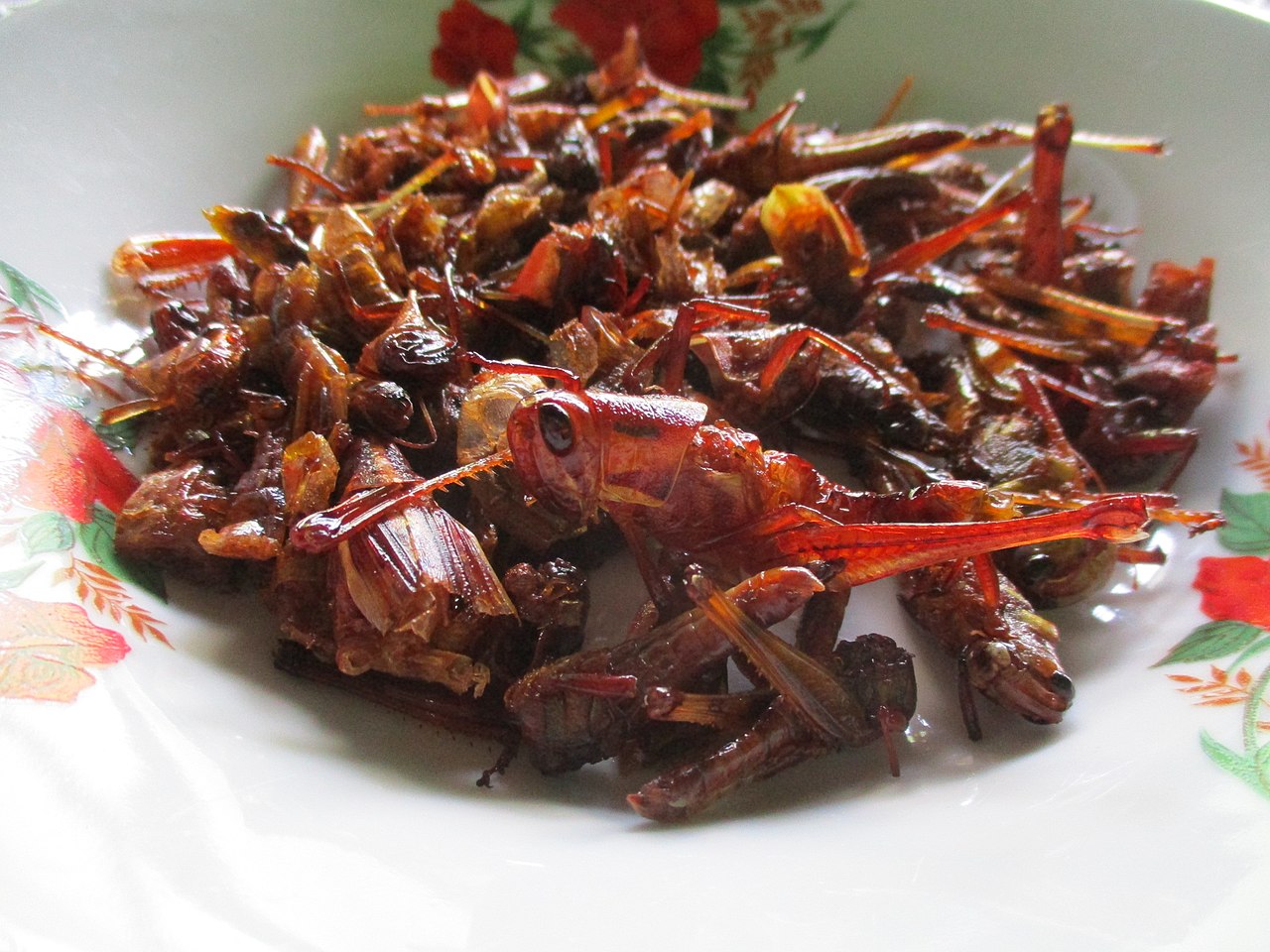 Locusts dish