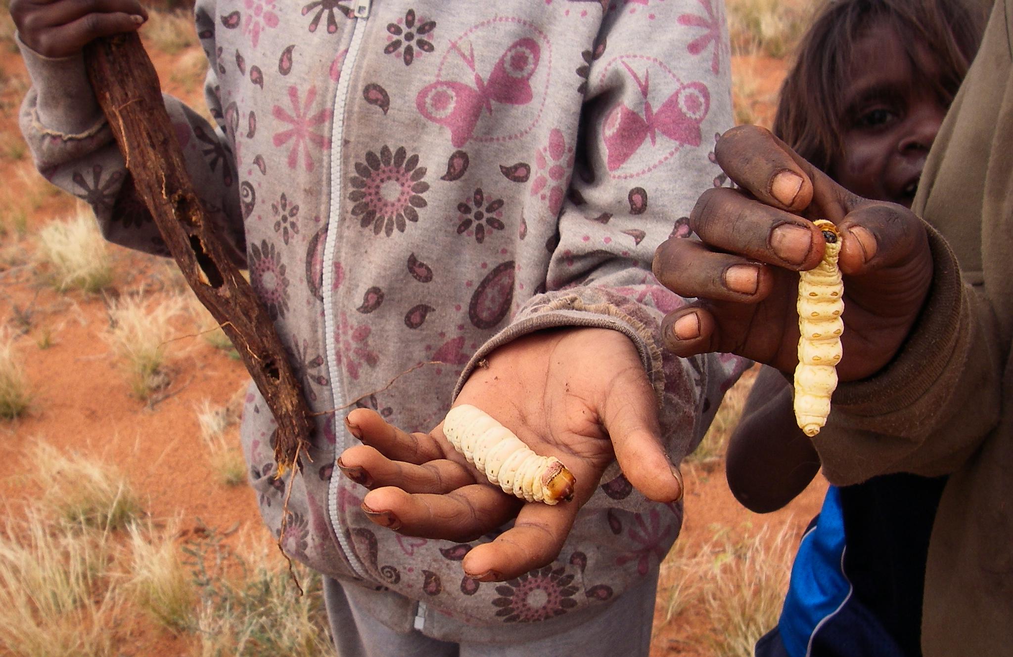 Children showing off their witchetty grubs.