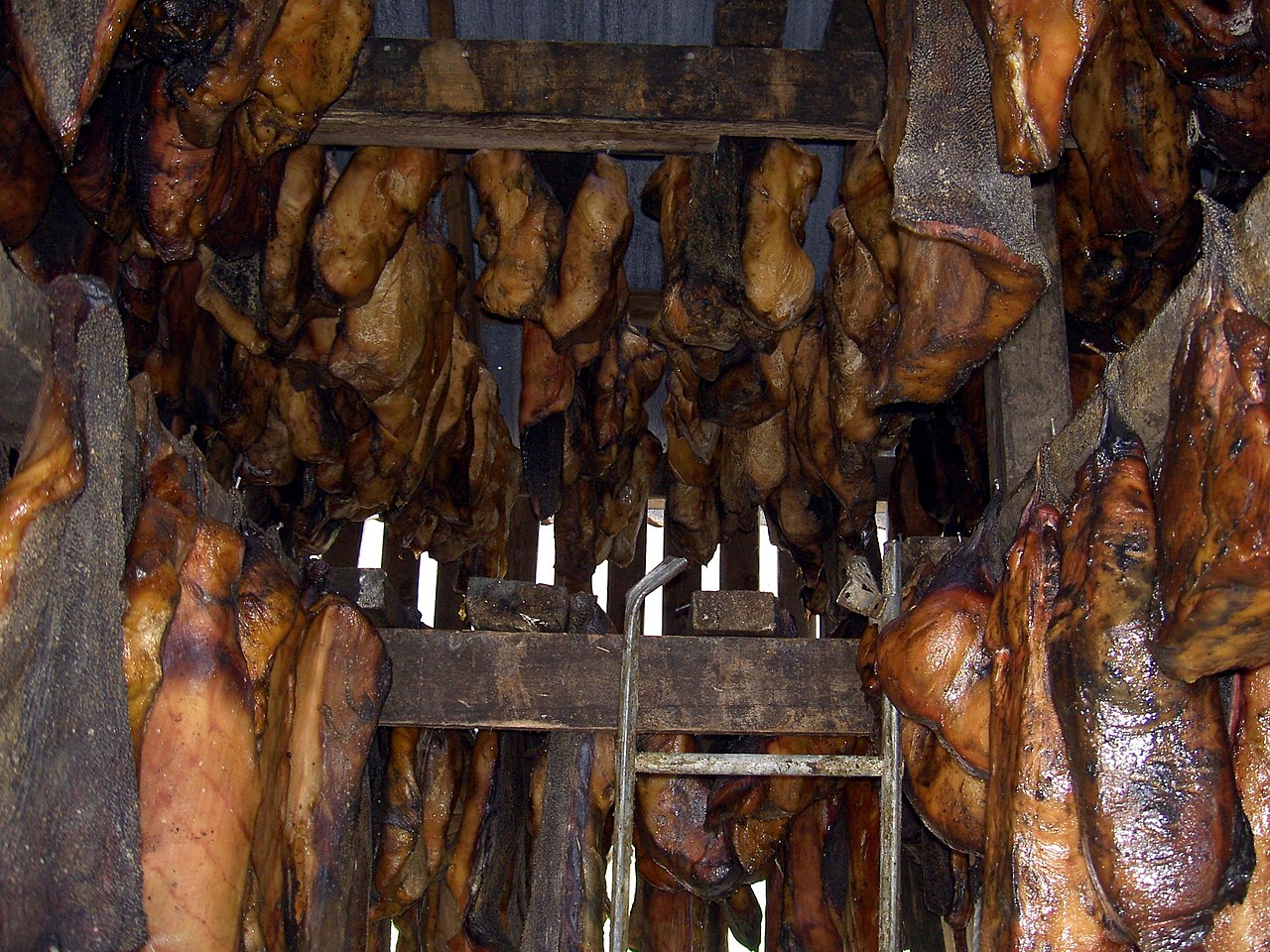 Fermented shark hanging to dry in Iceland