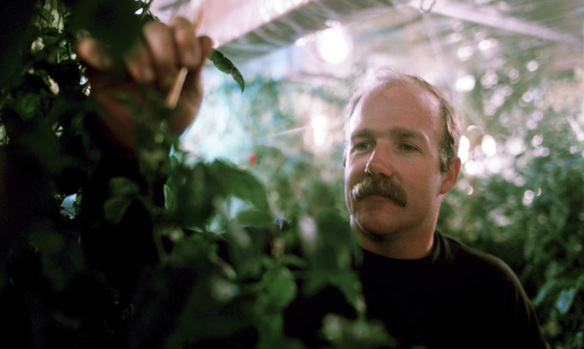 Screen Shot 2024-03-07 At 2.40.59 Am