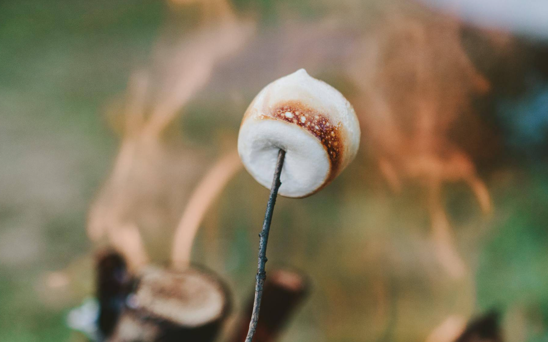 Person Holding S'mores
