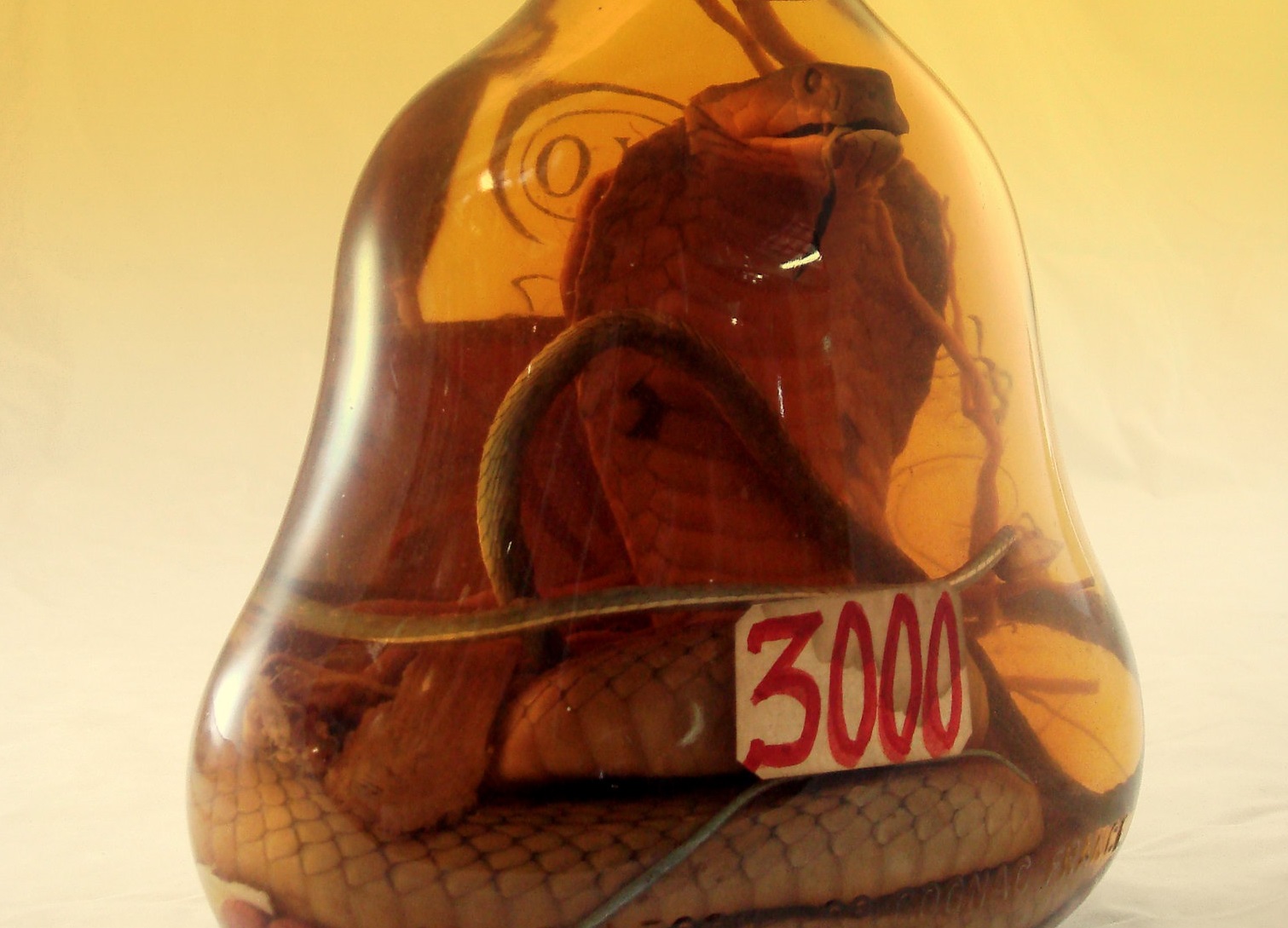 A rice wine snake wine bottle from Vietnam.