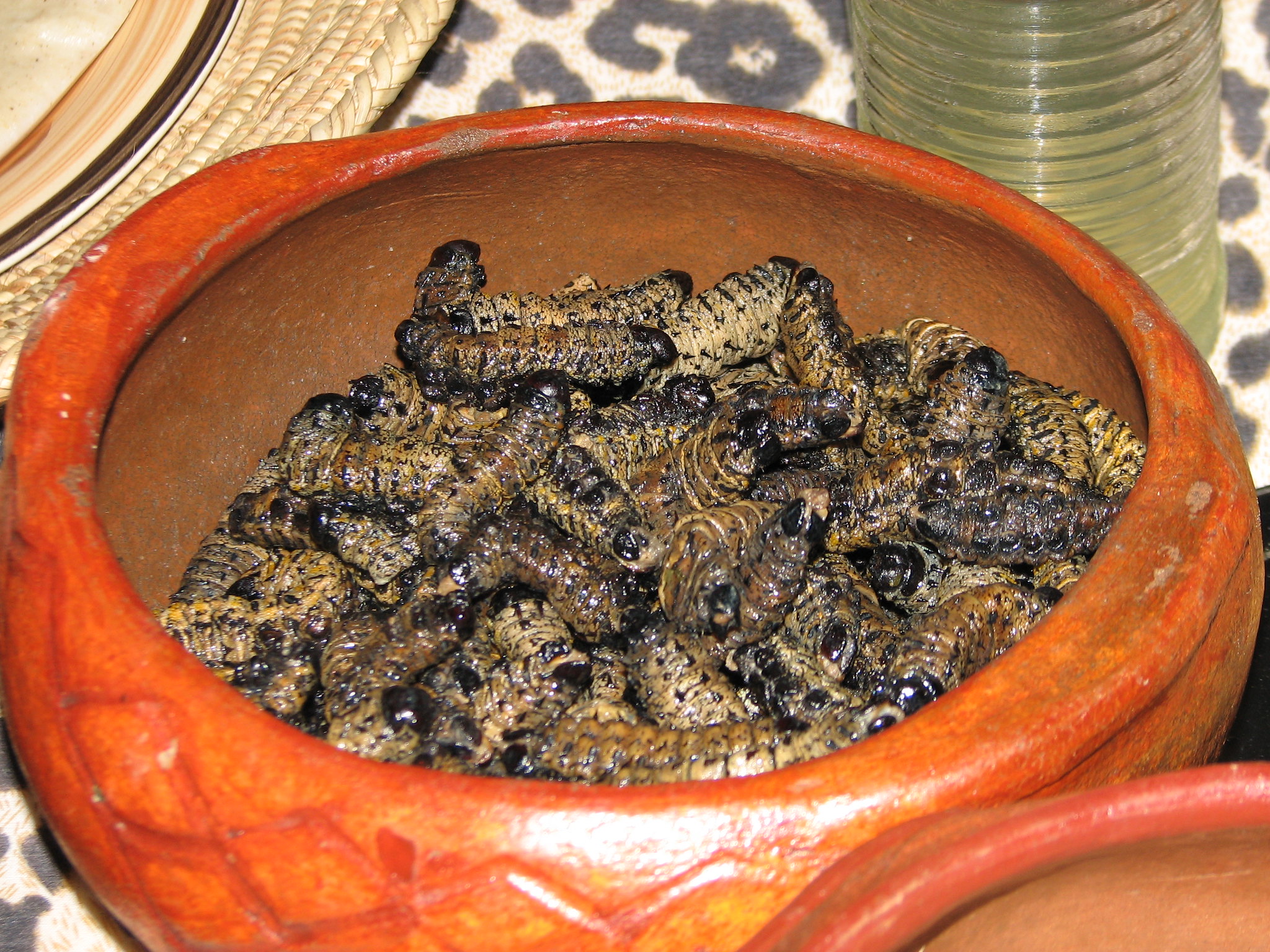 Mopane worms - food