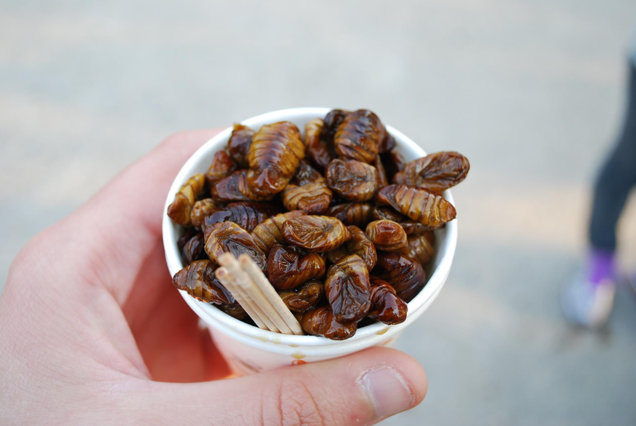Beondegi - fried silkworms