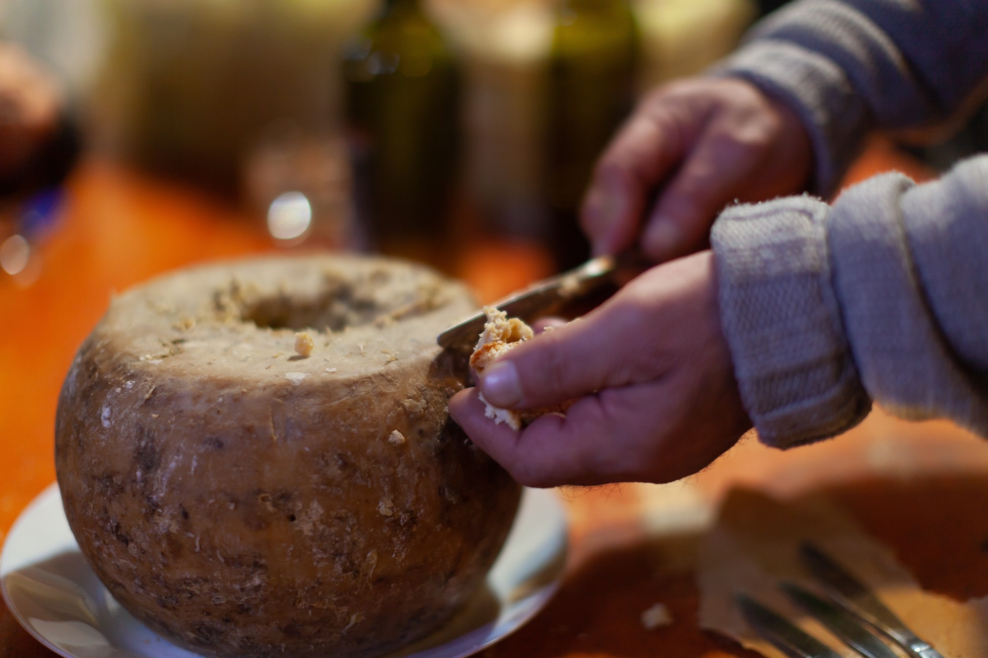Famous Casu Marzu or Casu Martzu Cheese with Worms from Sardinia Italy.