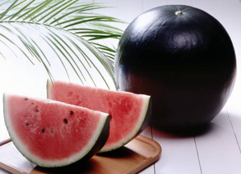Black watermelon on the table