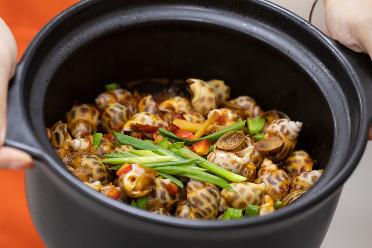 Seashell Dish in Black Round Bowl