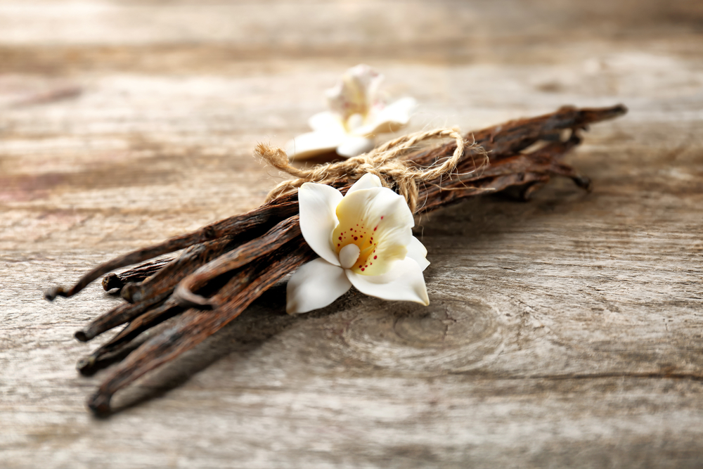 Dried vanilla pods and flower