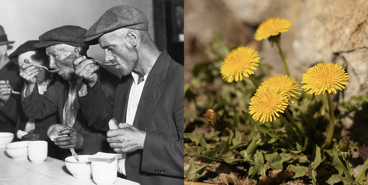 Depression-Foods-Msn