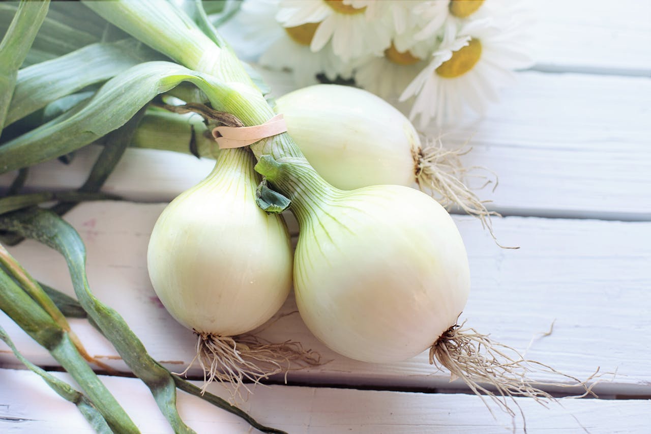 image of White Onions