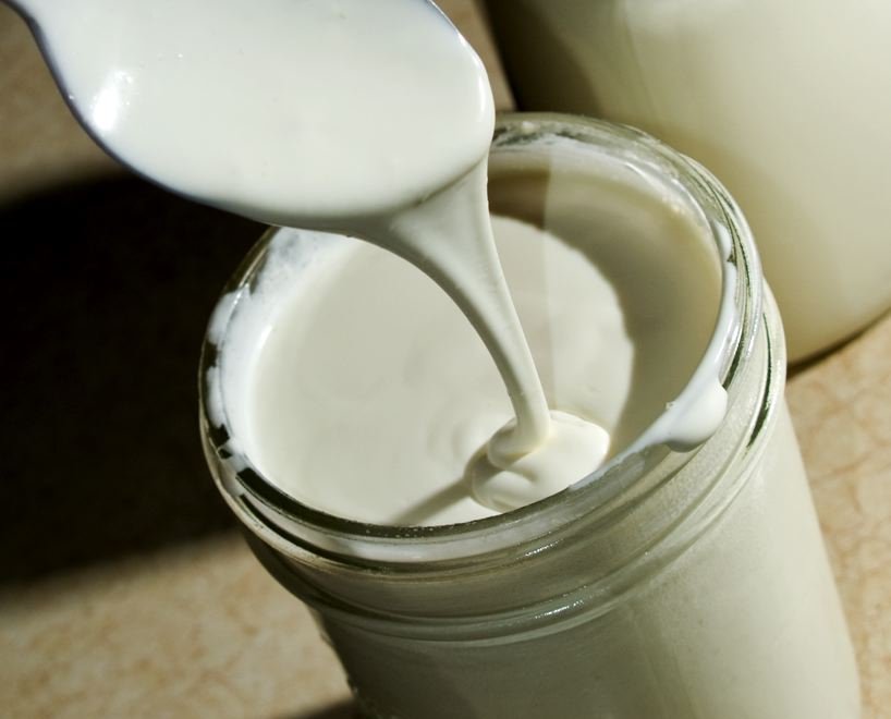 Close-up Photo of yogurt and spoon