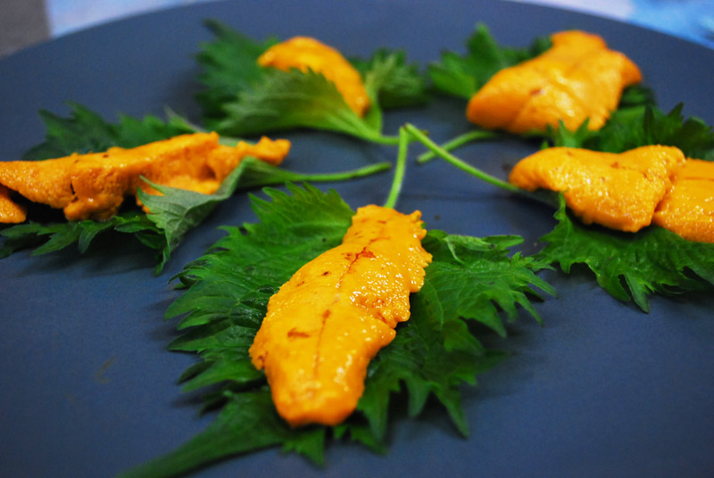 Uni on shiso leaf