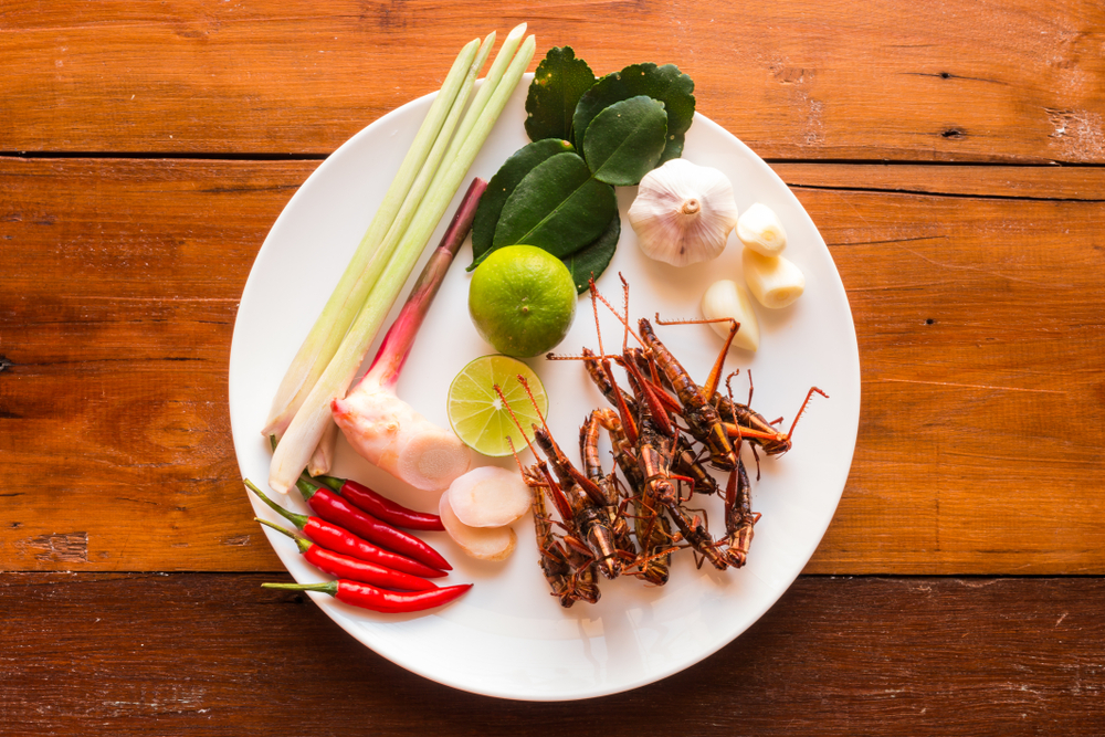 image of a dish with insects