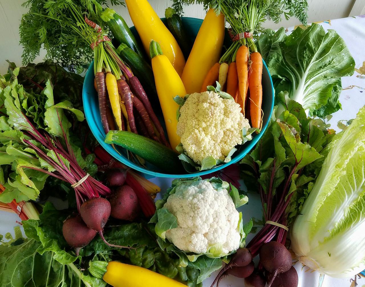 Assorted Vegetables placed on a white table