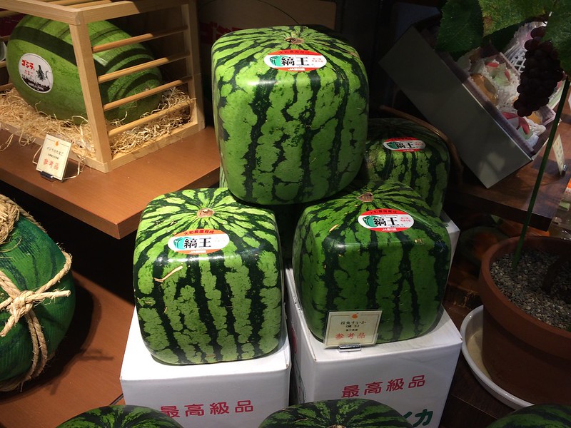 Square Watermelons
