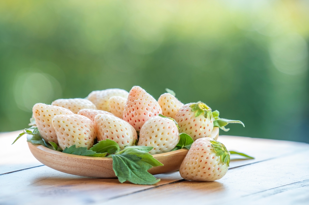 Fresh strawberries in wooden plate on green bokeh background