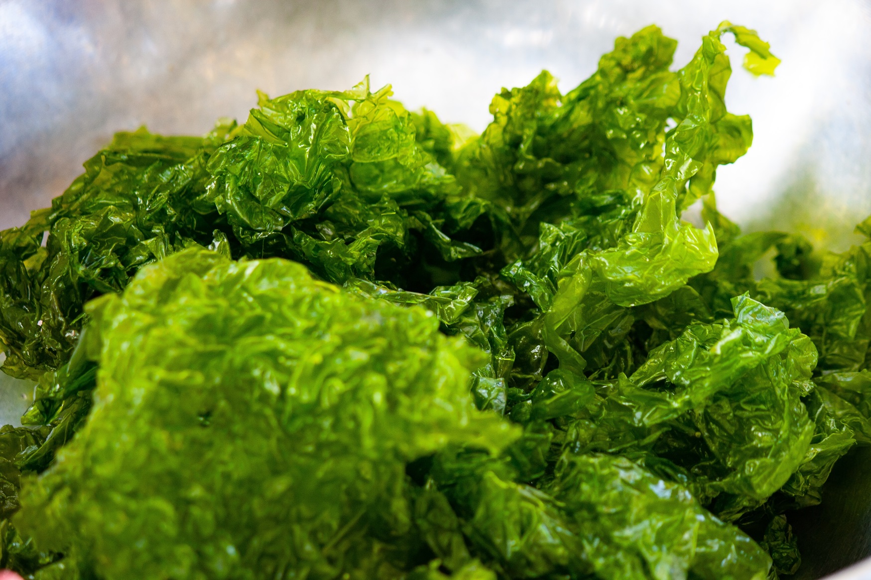 Freshly Harvested Green Seaweed Close-Up.