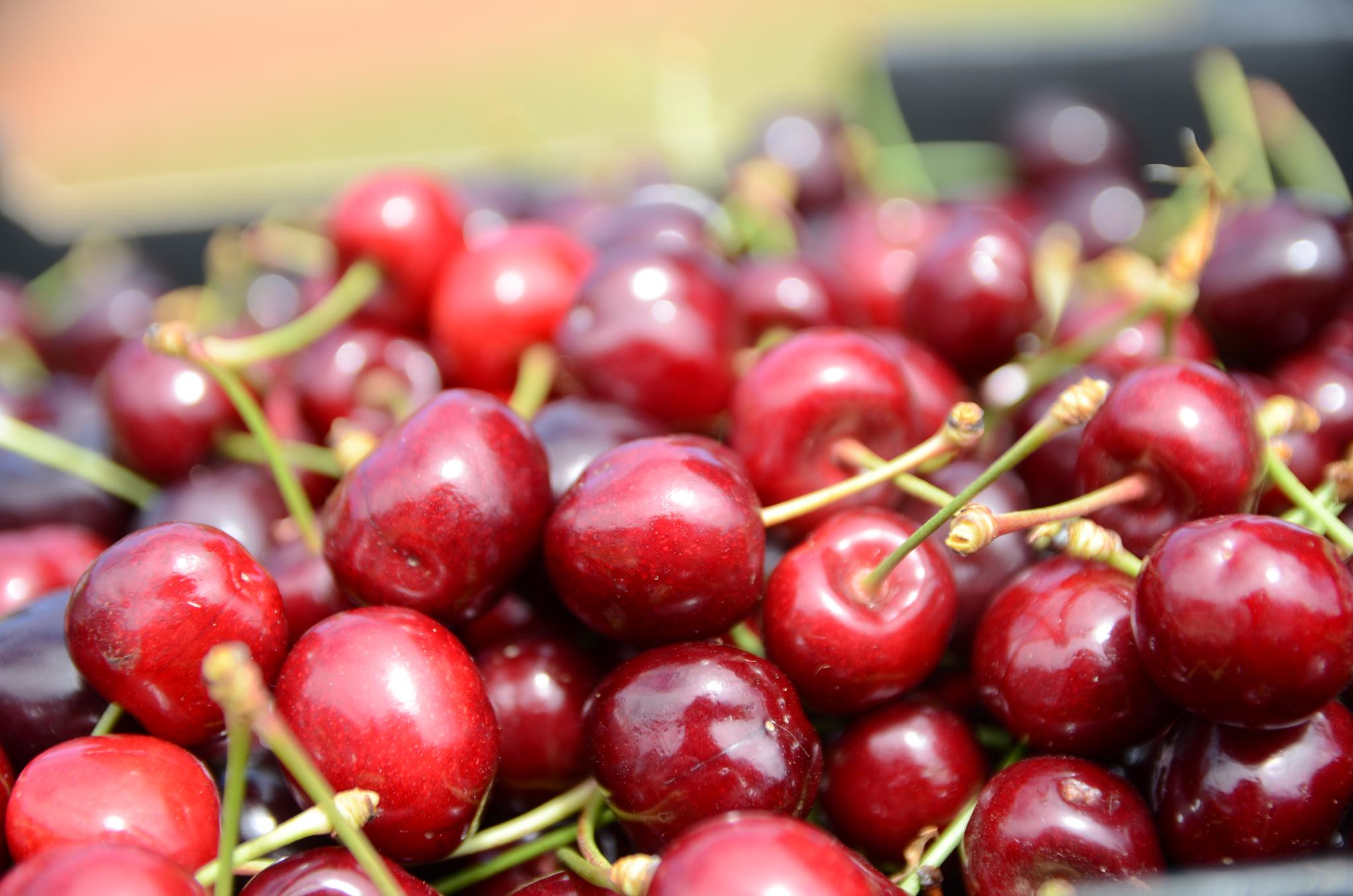 Cherries close-up photo.