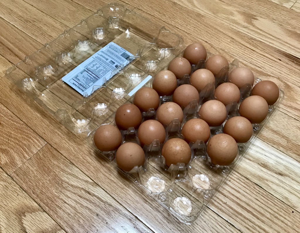 Plastic Egg Carton
