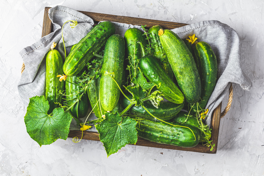 Green fresh cucumber in wooden box